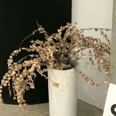 Furry圈创作干货福瑞交流群